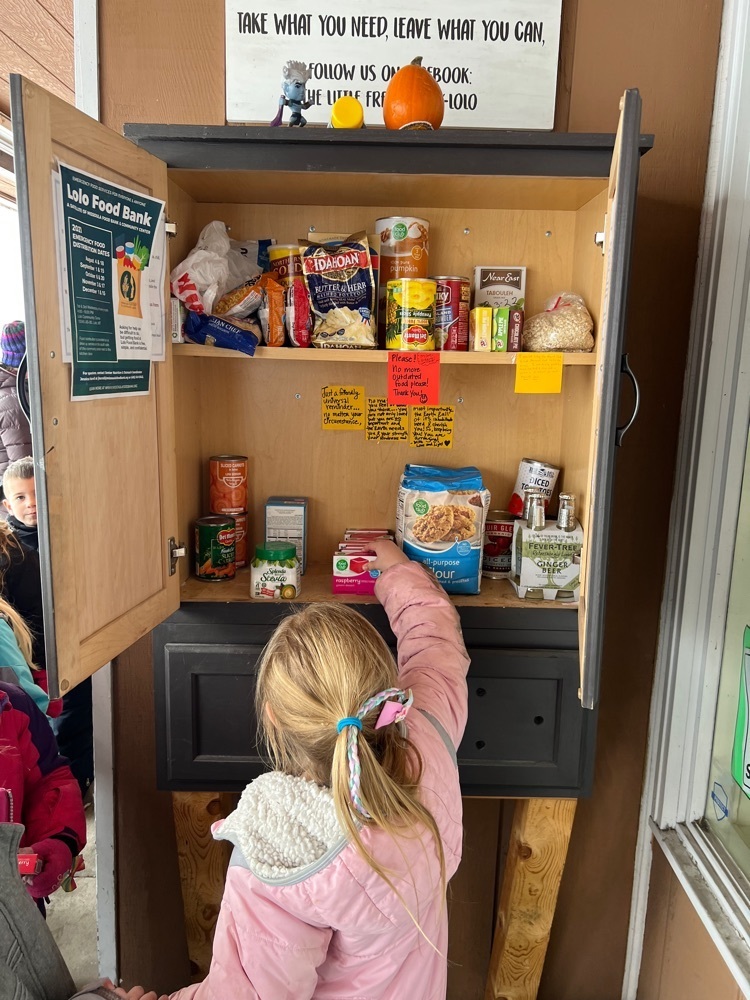 placing items in the pantry 