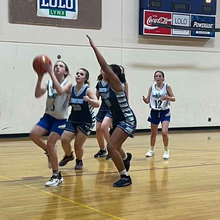 lolo b-ball