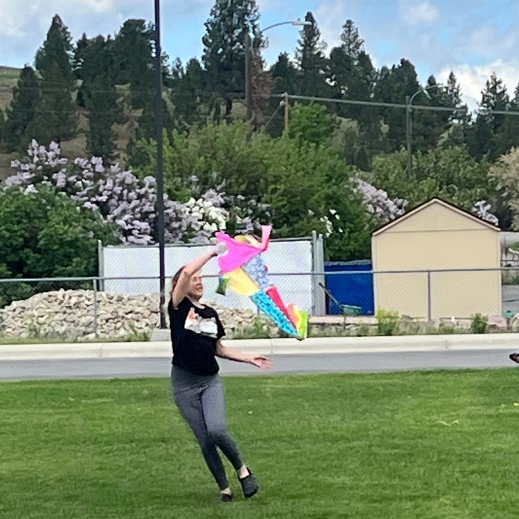 6th grade flies kites 
